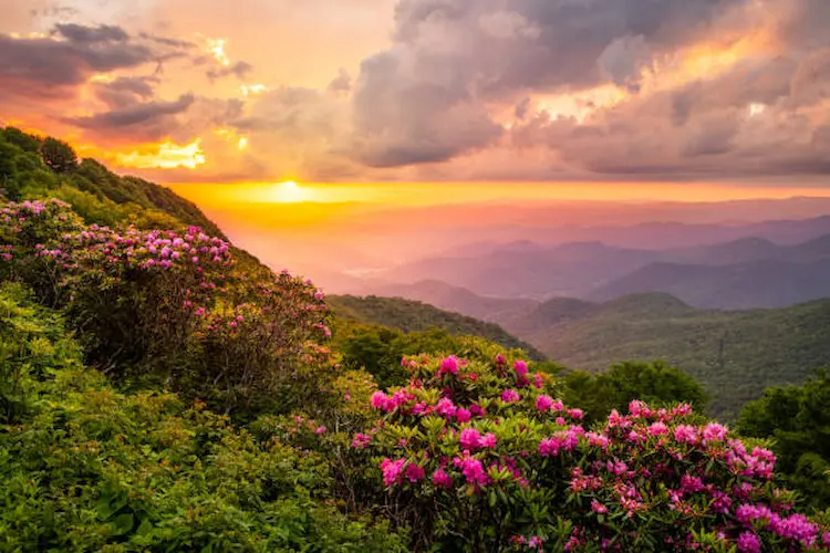 nature 3