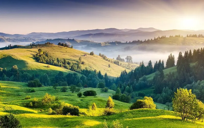 nature 5