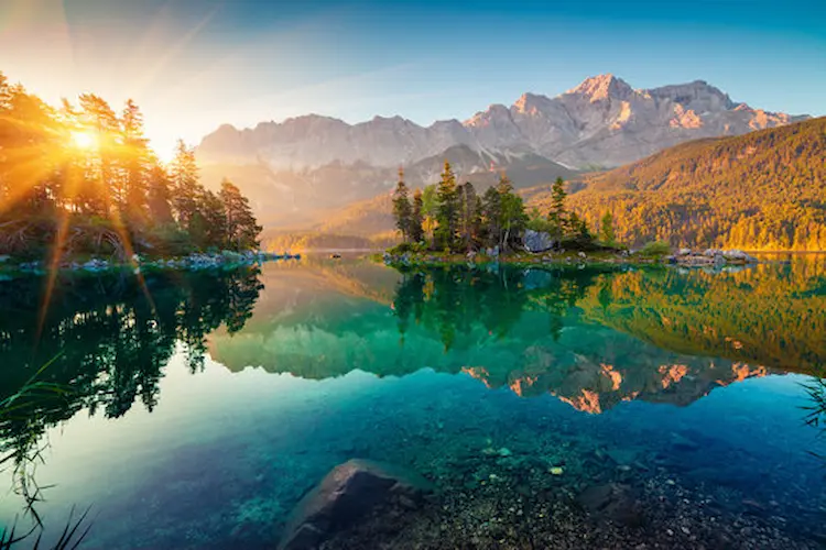 nature 6